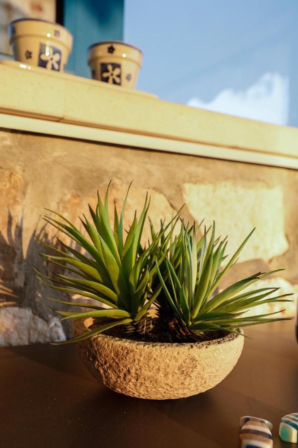Penthouse In Old Dalmatian House - Flybridge Hvar Town Exterior foto